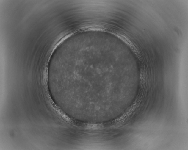 X0000110960790200907101326