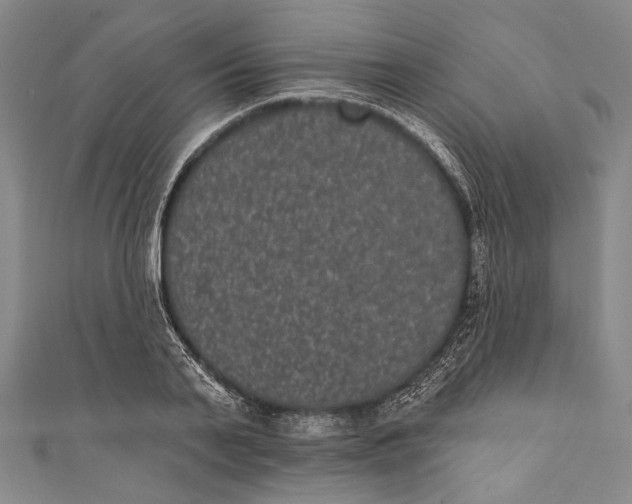 X0000110960791200907101326