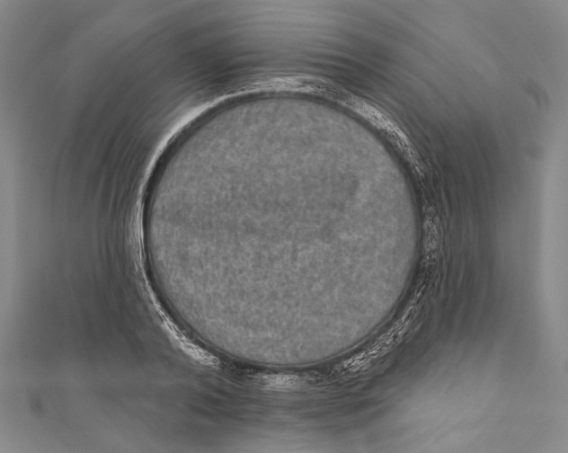 X0000110960792200907101326