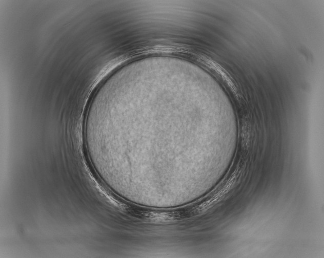 X0000110960794200907101326