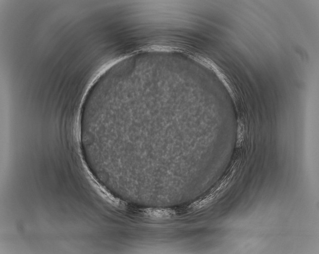 X0000110960795200907101326