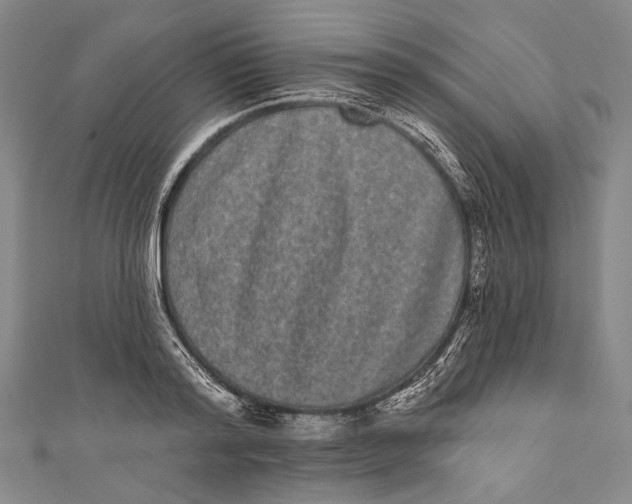 X0000110960796200907101326