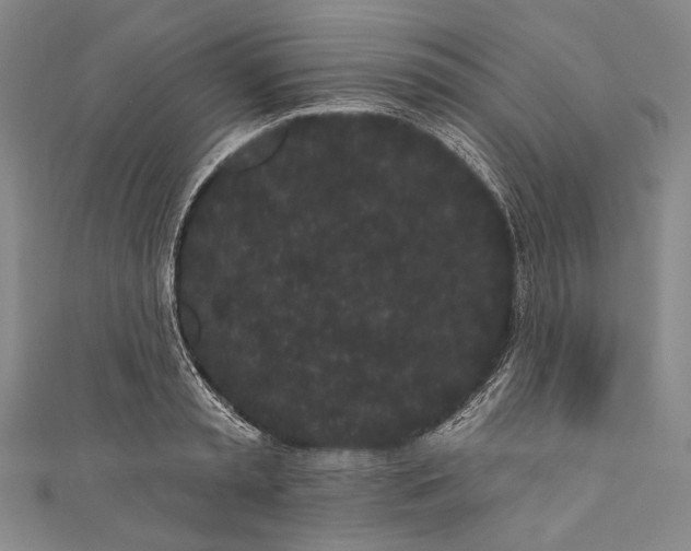 X0000110960797200907101326