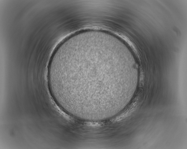 X0000110960799200907101326