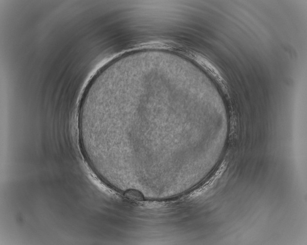 X0000110960800200907101326