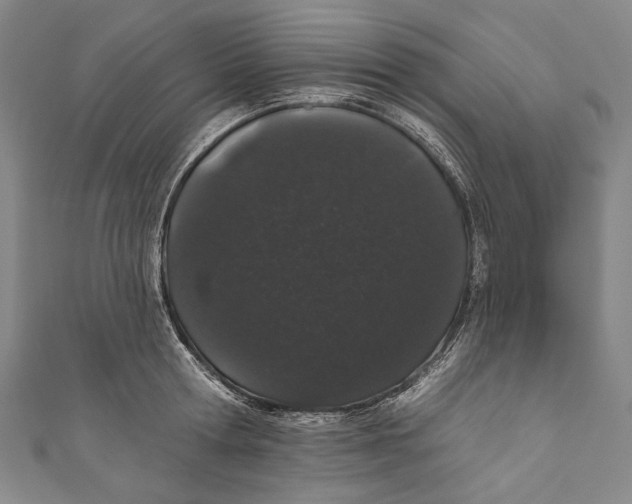 X0000110960802200907101326