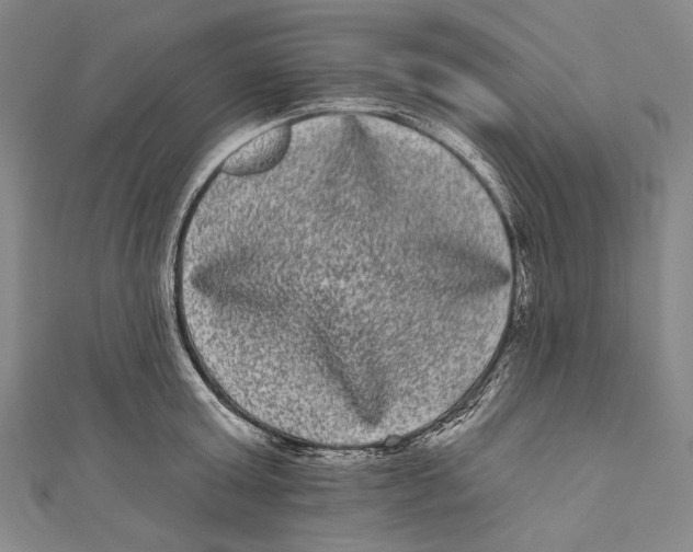 X0000110960803200907101326