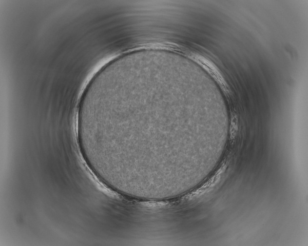 X0000110960804200907101326