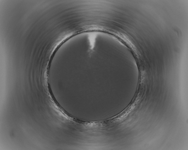 X0000110960806200907101326