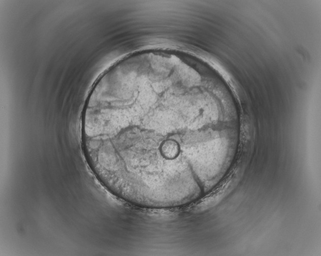 X0000110960807200907101326