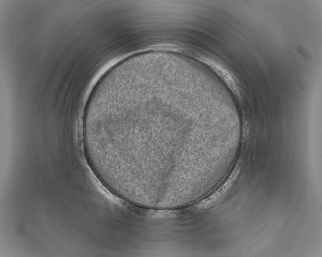 X0000110960808200907101326