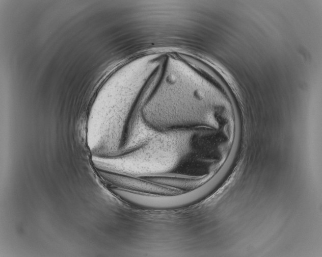 X0000110960809200907101326