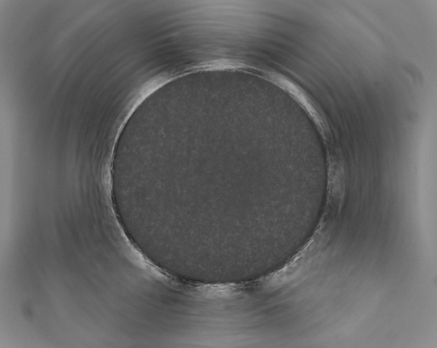 X0000110960810200907101326