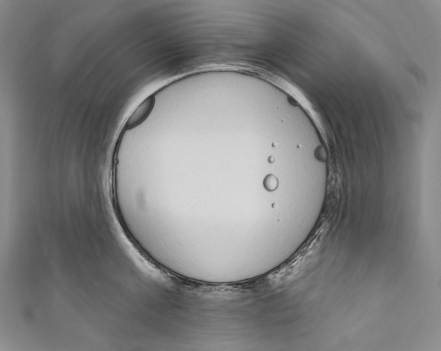 X0000110960811200907101326