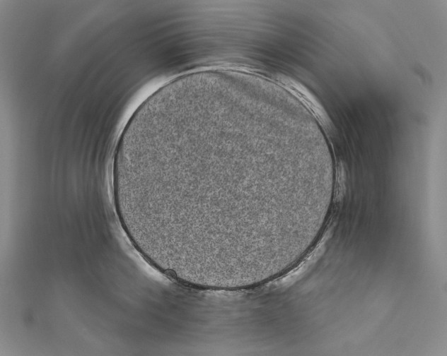 X0000110960812200907101326