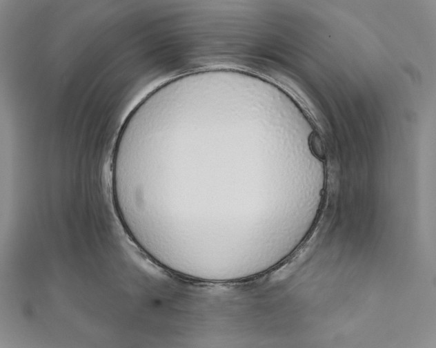 X0000110960814200907101326