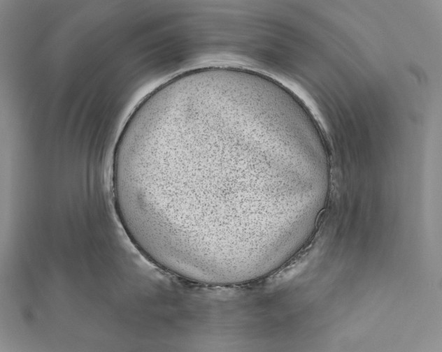 X0000110960815200907101326