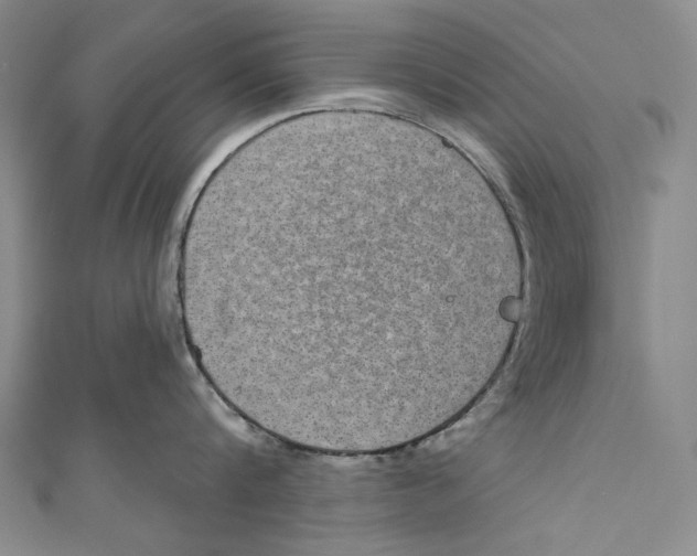 X0000110960816200907101326