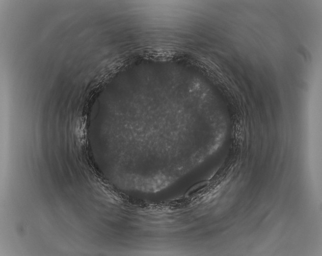 X0000110960818200907101325