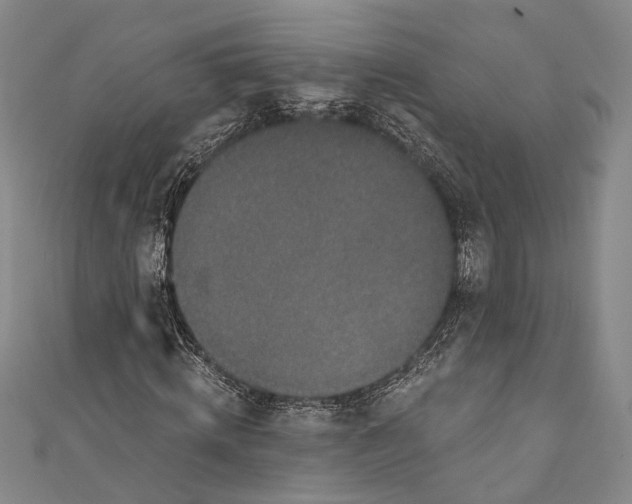 X0000110960820200907101325