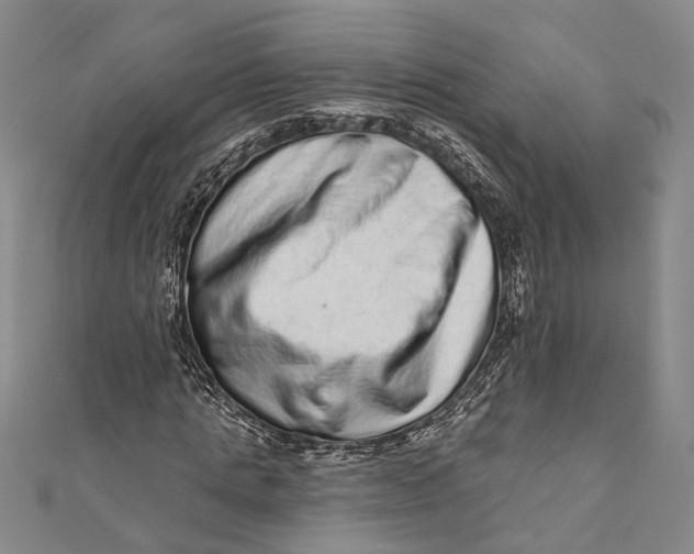 X0000110960821200907101325