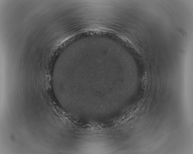 X0000110960822200907101325