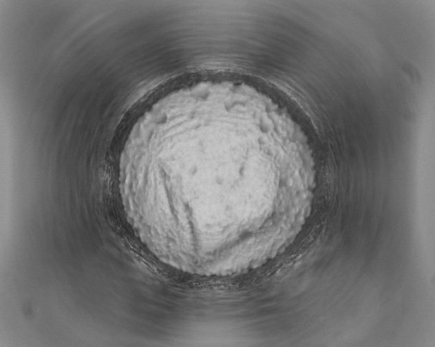 X0000110960823200907101325