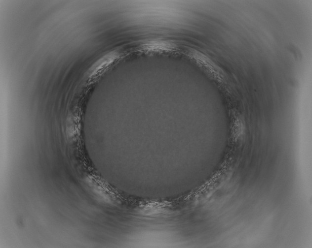 X0000110960824200907101325