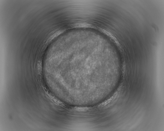 X0000110960825200907101325