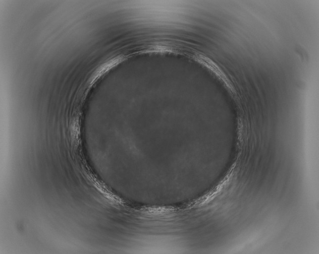 X0000110960826200907101325