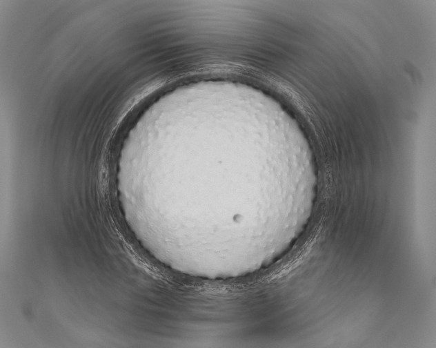 X0000110960827200907101325