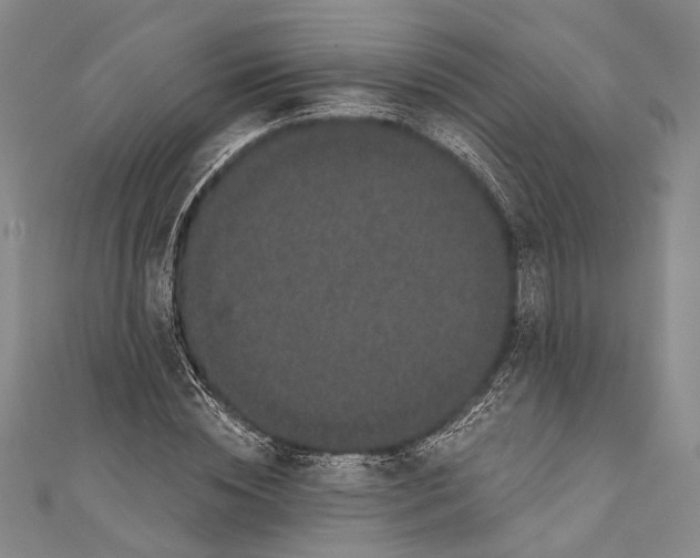 X0000110960828200907101325