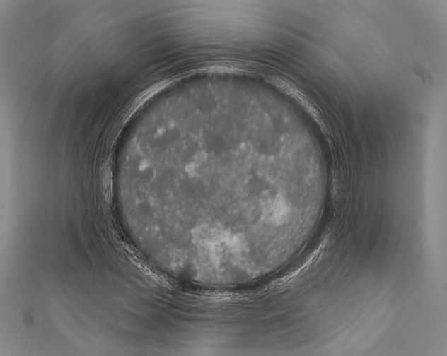 X0000110960829200907101325