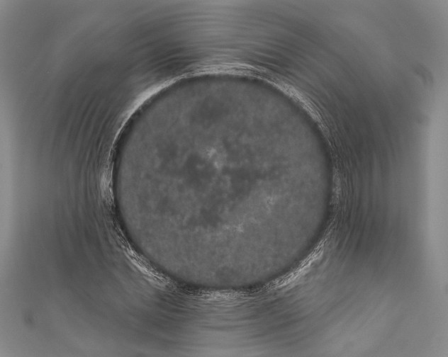 X0000110960830200907101325