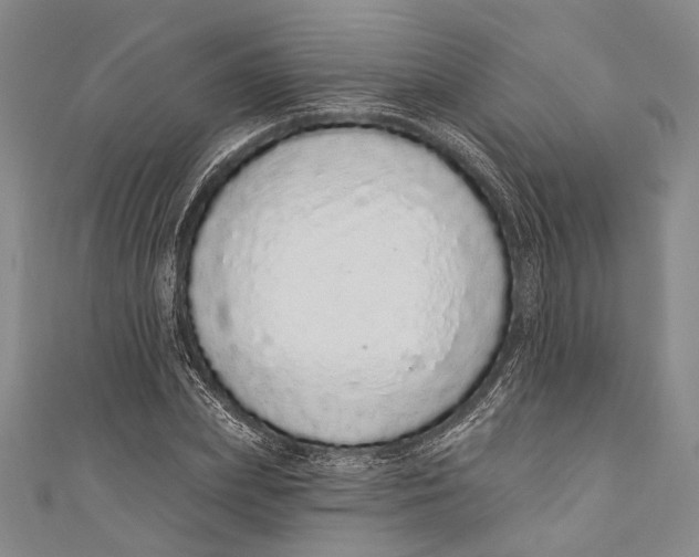 X0000110960831200907101325