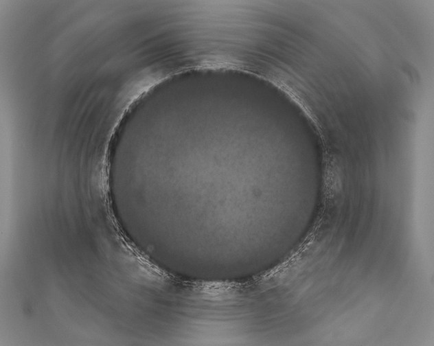 X0000110960832200907101325