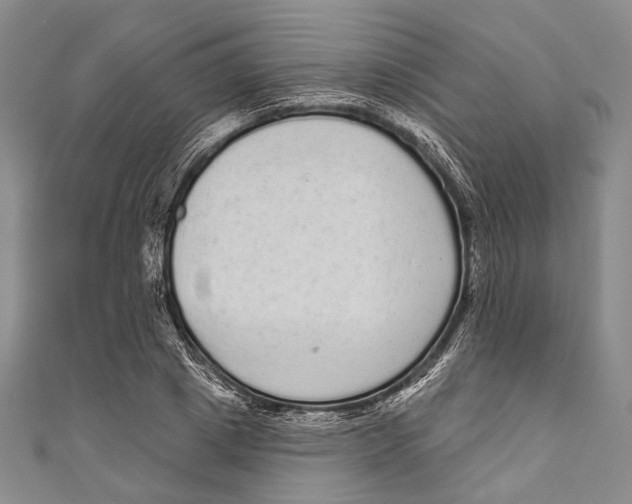 X0000110960833200907101325