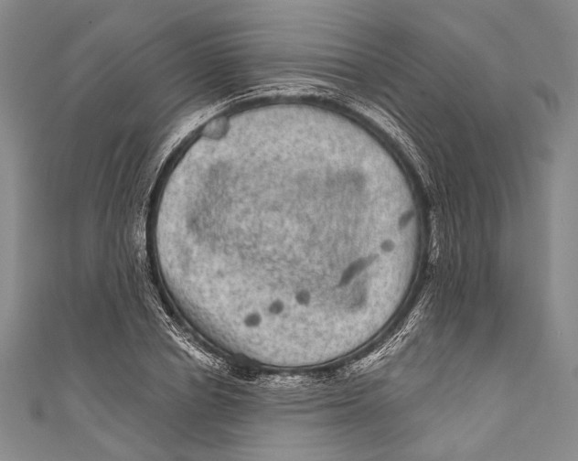 X0000110960834200907101326