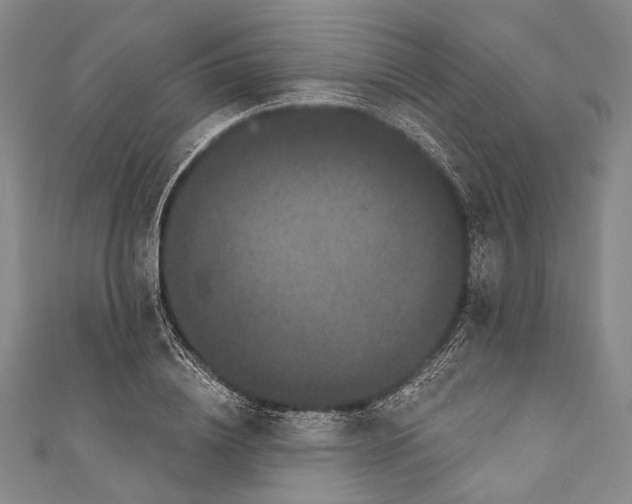 X0000110960836200907101326