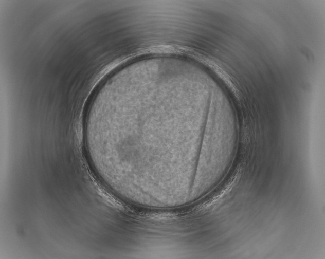 X0000110960837200907101326