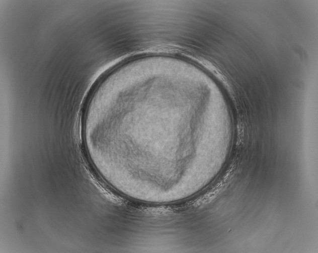 X0000110960838200907101326