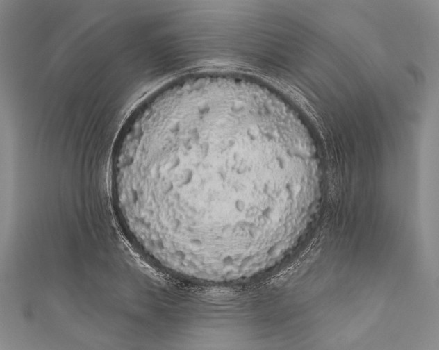 X0000110960839200907101326