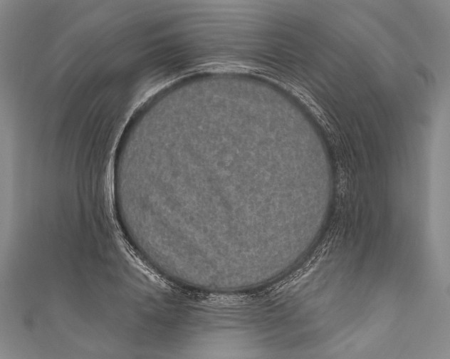 X0000110960840200907101326