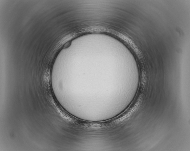 X0000110960841200907101326