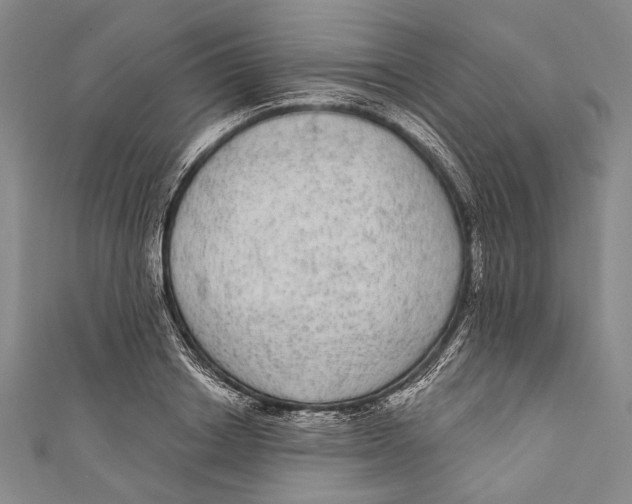 X0000110960842200907101326