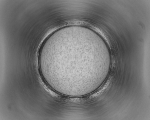 X0000110960843200907101326