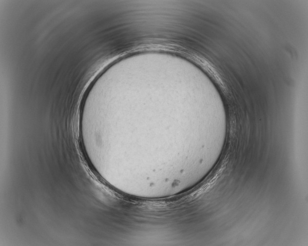 X0000110960844200907101326