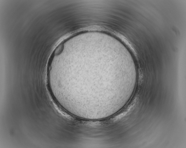 X0000110960845200907101326