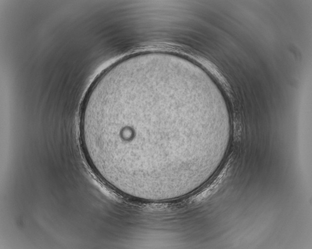 X0000110960846200907101326