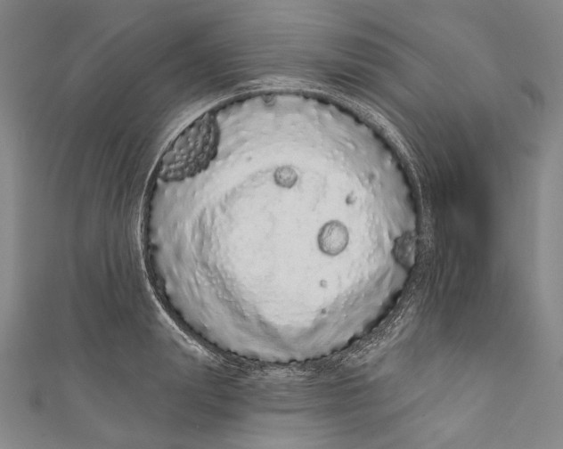 X0000110960847200907101326